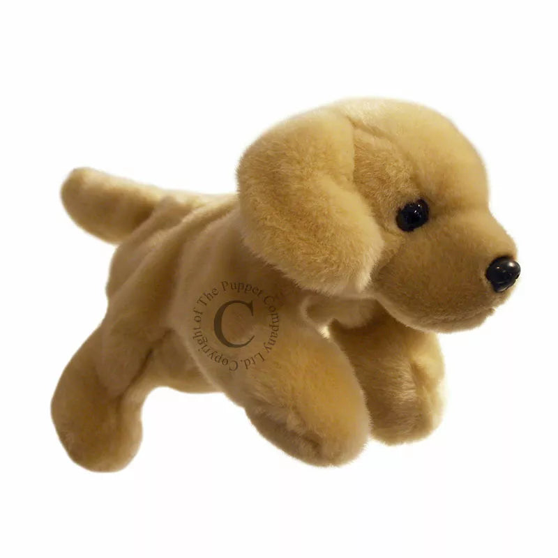 The Puppet Company Full-bodied Hand Puppet Labrador is flying on a white background.